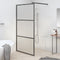 vidaXL - Inloopdouchewand - 100x195 - cm - mat - ESG-glas - zwart