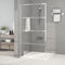 vidaXL - Inloopdouchewand - 100x195 - cm - transparant - ESG-glas - zilverkleurig