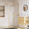 vidaXL - Inloopdouchewand - transparant - 100x195 - cm - ESG-glas - goudkleurig