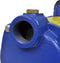 vidaXL Jet Waterpomp 1300 W 5100 L/u (Blauw)