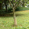 vidaXL - Jute - rol - 200 - g/m² - 0,25x100 - m - 100% - jute