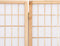 vidaXL - Kamerscherm - inklapbaar - 5 - panelen - Japanse - stijl - 200x170 - cm