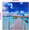 vidaXL - Kamerscherm - inklapbaar - strand - 160x170 - cm