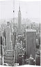 vidaXL - Kamerscherm - New - York - bij - daglicht - 120x170 - cm - zwart - en - wit