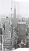 vidaXL - Kamerscherm - New - York - bij - daglicht - 120x170 - cm - zwart - en - wit