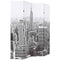 vidaXL - Kamerscherm - New - York - bij - daglicht - 160x170 - cm - zwart - en - wit