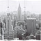 vidaXL - Kamerscherm - New - York - bij - daglicht - 200x170 - cm - zwart - en - wit