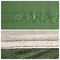 vidaXL - Kampeerluifel - waterdicht - 460x305x210 - cm - groen