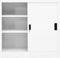 vidaXL - Kantoorkast - met - schuifdeuren - 90x40x90 - cm - staal - wit