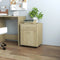 vidaXL - Kast - verrijdbaar - 45x38x54 - cm - spaanplaat - sonoma - eikenkleurig