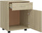 vidaXL - Kast - verrijdbaar - 45x38x54 - cm - spaanplaat - sonoma - eikenkleurig