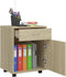 vidaXL - Kast - verrijdbaar - 45x38x54 - cm - spaanplaat - sonoma - eikenkleurig
