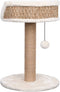 vidaXL - Kattenboom - met - mandje - 49 - cm - zeegras