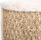 vidaXL - Kattenmand - rond - 36 - cm - zeegras
