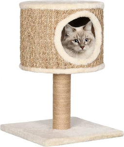 vidaXL - Kattenmeubel - met - huis - en - krabpaal - 52 - cm - zeegras