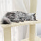 vidaXL - Kattenmeubel - met - sisal - krabpalen - 155 - cm - crèmekleurig