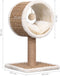 vidaXL - Kattenmeubel - met - tunnel - en - speeltje - 56 - cm - zeegras