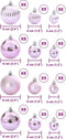 vidaXL - Kerstballen - 100 - st - Ø3/4/6 - cm - roze
