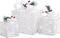vidaXL - Kerstdecoratie - geschenkdozen - 3 - st - binnen/buiten - wit