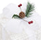 vidaXL - Kerstdecoratie - geschenkdozen - 3 - st - binnen/buiten - wit
