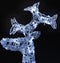 vidaXL - Kerstdecoratie - rendieren - 90 - LED's - 60x16x100 - cm - acryl