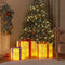 vidaXL - Kerstfiguur - cadeaudoos - 3 - st - verlicht - 64 - warmwitte - LED's