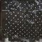 vidaXL Kerstnetverlichting 204 LED's binnen en buiten 3x2 m koudwit