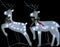 vidaXL - Kerstrendieren - 2 - st - 40 - LED's - wit