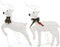 vidaXL - Kerstrendieren - 2 - st - 40 - LED's - wit