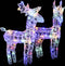 vidaXL - Kerstrendieren - 2 - st - 80 - LED's - acryl - meerkleurig