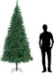 vidaXL - Kerstslinger - met - LED-lampjes - 10 - m - wit