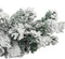 vidaXL - Kerstslinger - met - sneeuw - 20 - m - PVC - groen