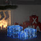 vidaXL - Kerstverlichting - geschenkdozen - 3 - st - decoratief - acryl - koudwit