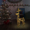 vidaXL - Kerstversiering - rendier - 90 - LED's - 60x16x100 - cm - acryl