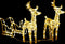 vidaXL - Kerstversiering - rendieren - en - slee - 160 - LED's - 130 - cm - acryl