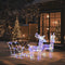 vidaXL - Kerstversiering - rendieren - en - slee - 160 - LED's - 130 - cm - acryl