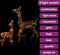 vidaXL - Kerstversiering - rendierfamilie - 160 - LED - meerkleurig - acryl