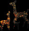 vidaXL - Kerstversiering - rendierfamilie - 160 - LED - meerkleurig - acryl