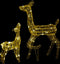 vidaXL - Kerstversiering - rendierfamilie - 160 - LED's - warmwit - acryl