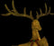 vidaXL - Kerstversiering - vliegend - rendier - warmwit - 120 - LED's - goudkleurig