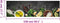 vidaXL - Keukenmat - wasbaar - kruidenprint - 45x150 - cm - fluweel
