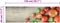 vidaXL - Keukenmat - wasbaar - tomatenprint - 45x150 - cm - fluweel