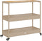 vidaXL - Keukentrolley - 3-laags - poly - rattan - en - massief - acaciahout - beige