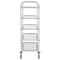 vidaXL - Keukentrolley - 5-laags - 107x55x147 - cm - roestvrij - staal