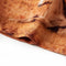 vidaXL-Kinderjurk-met-lange-mouwen-paardenprint-140-cognackleurig