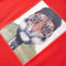 vidaXL-Kindershirt-met-lange-mouwen-tijgerprint-128-rood