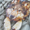 vidaXL-Kindershirt-met-lange-mouwen-wolvenprint-116-lichtblauw