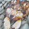 vidaXL-Kindershirt-met-lange-mouwen-wolvenprint-92-lichtblauw