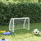 vidaXL - Kindervoetbaldoelen - 2 - st - met - bal - 64x35x48 - cm - metaal - wit