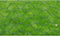 vidaXL Kippengaas 25x0.5 m gegalvaniseerd staal met PVC-coating groen